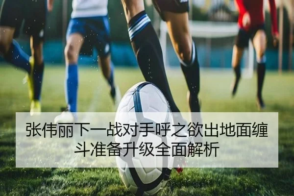 张伟丽下一战对手呼之欲出地面缠斗准备升级全面解析 | mksports